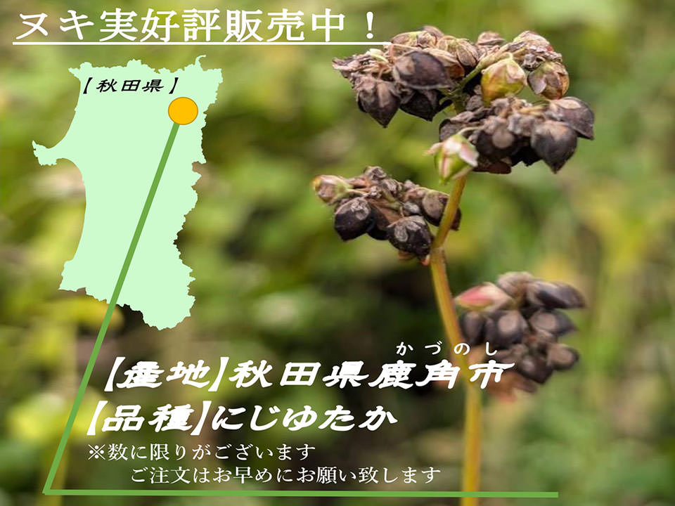 にじゆたか