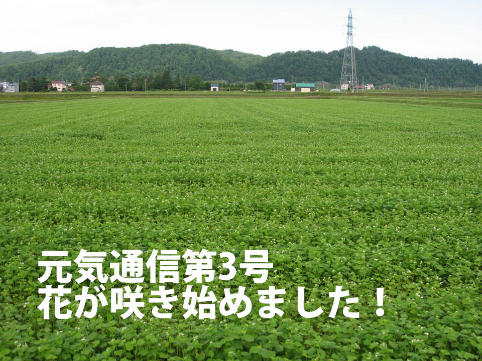 元気通信三号