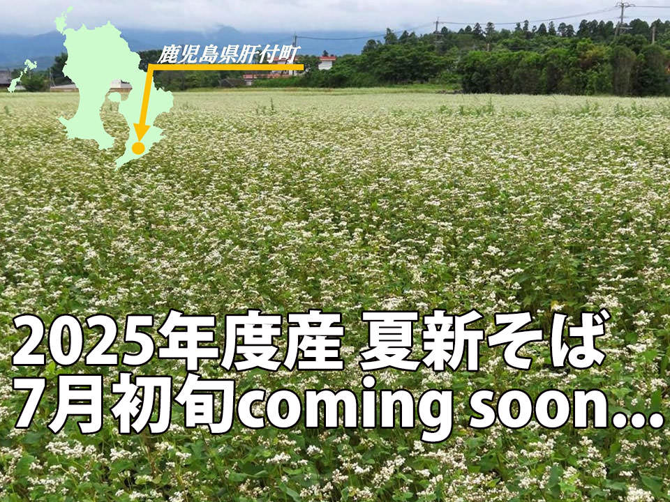 夏新そば