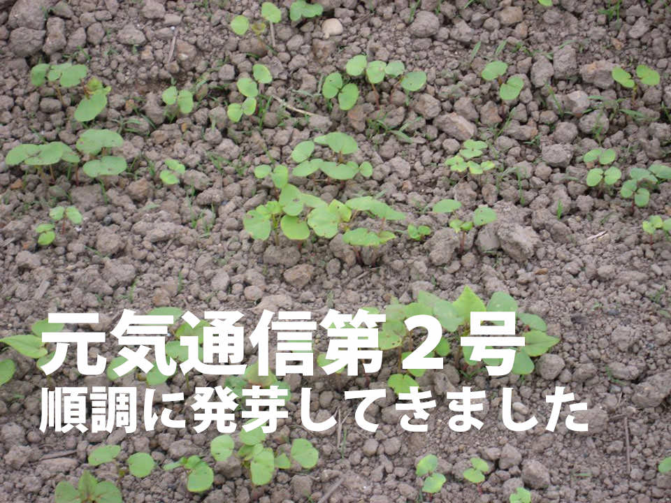 元気通信第2号