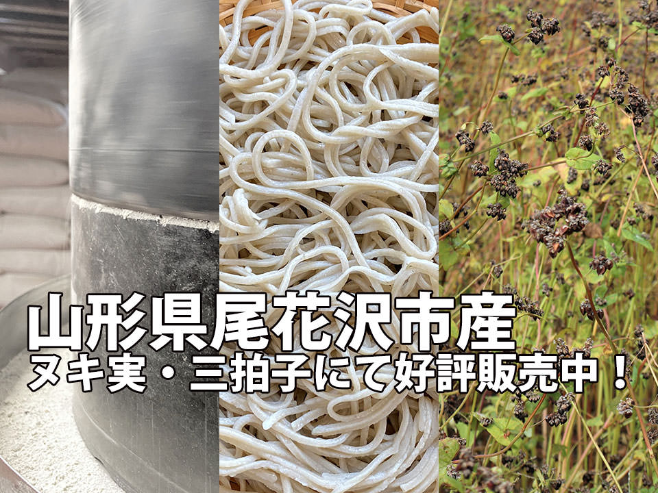 尾花沢産