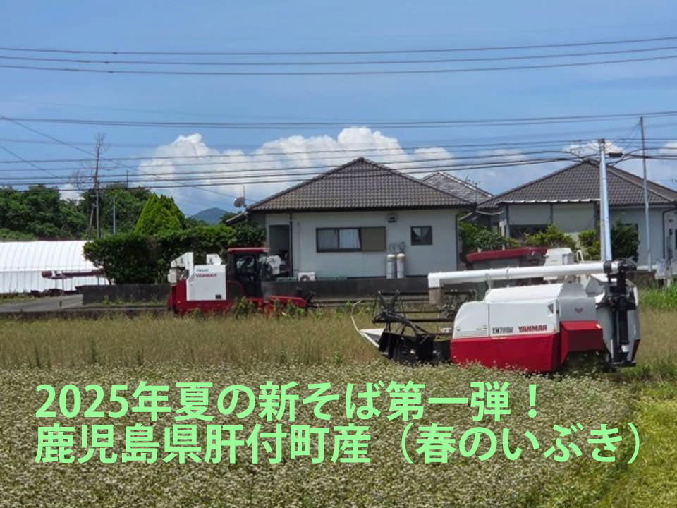 鹿児島県肝付町産「春のいぶき」