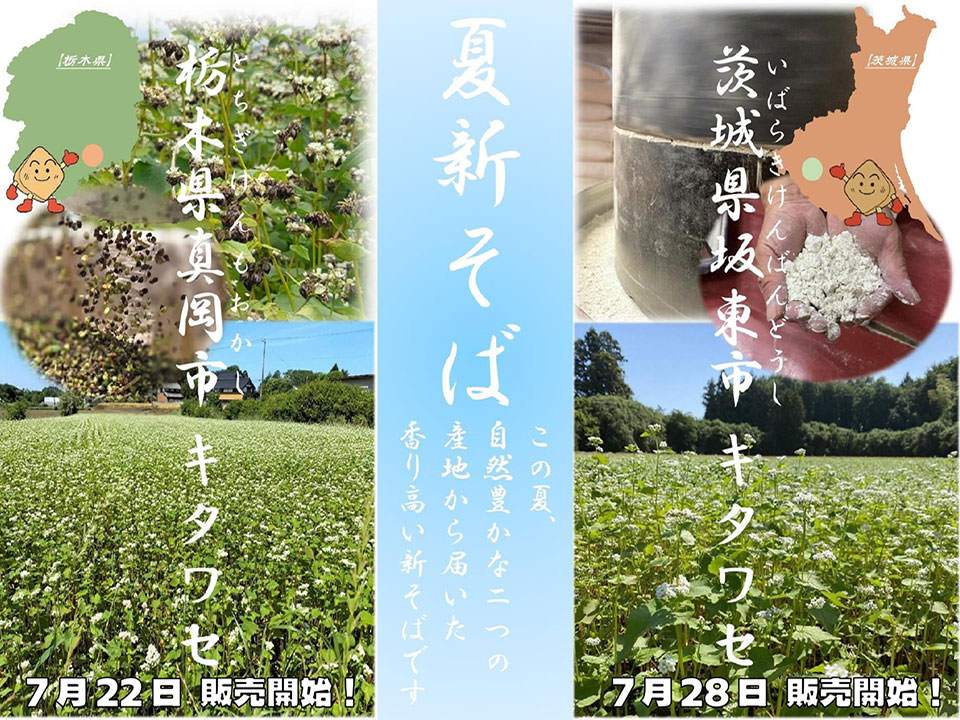 2025年夏新そば