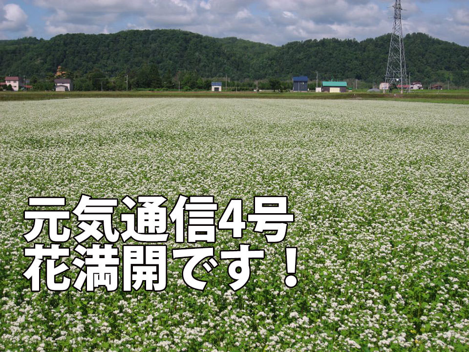 元気通信